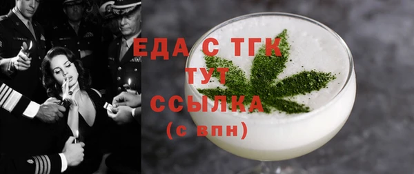 гидра Ельня