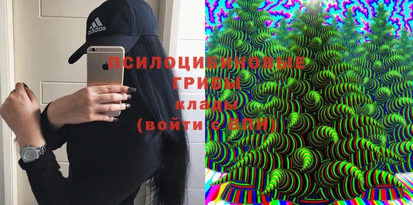 ECSTASY Елизово