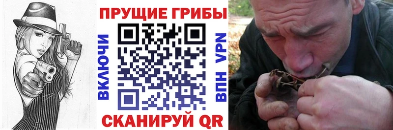 Псилоцибиновые грибы Psilocybe  цена   Жигулёвск 